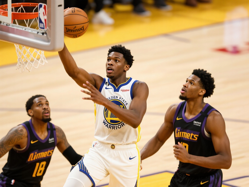 建立完善的 建立完善的